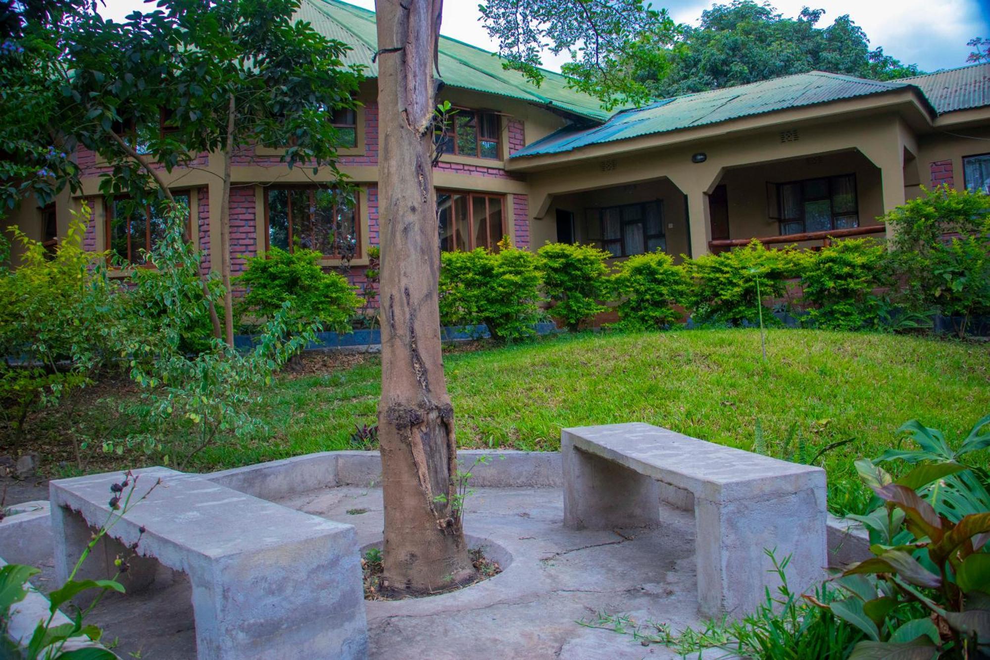 Shamba Hostel Usa River Exterior foto